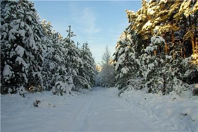 《俄罗斯方块永恒篇》Steam页面开放 2024年发售