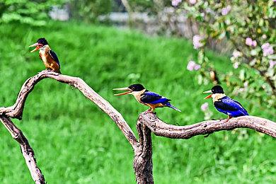 TGA 2024:  如龙新作《Project Century》预告